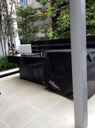 The Boutiq (D9), Apartment #297827321